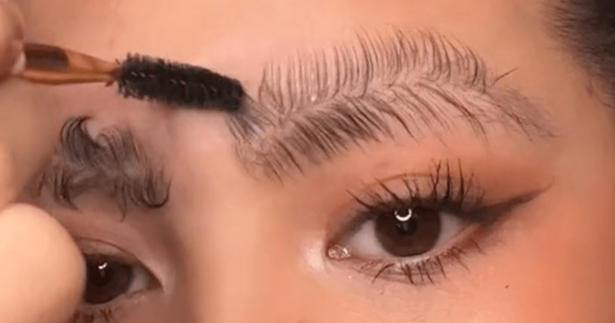 Octopus Eyebrows