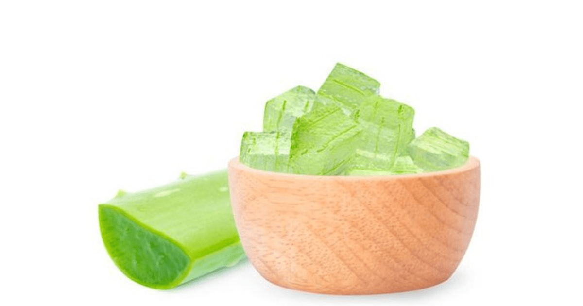 Benarkah Lidah Buaya Bikin Kulit Glowing
