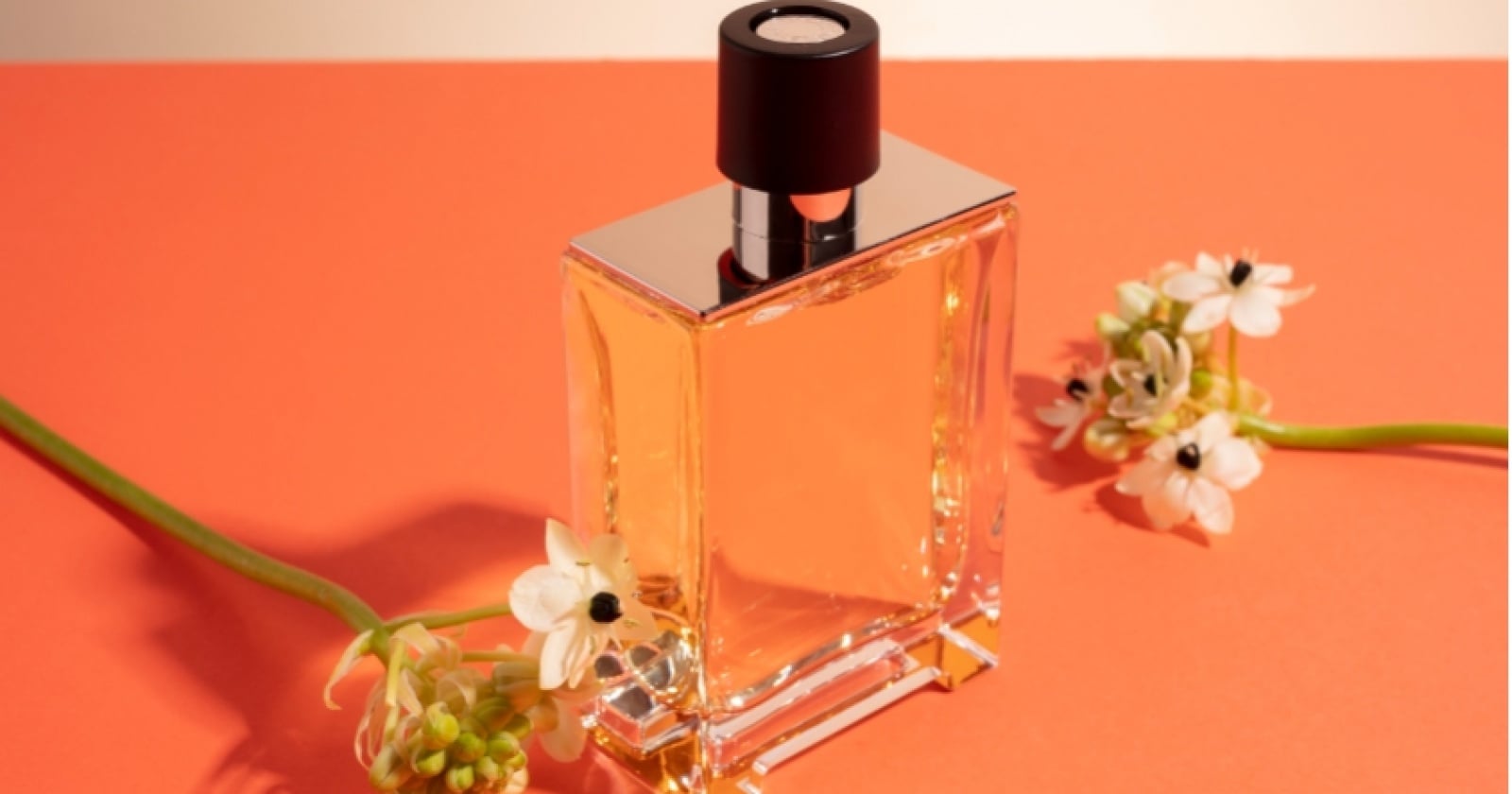 Ilustrasi parfum lokal terlaris untuk artikel 10 Parfum Lokal Terlaris di Shopee Sepanjang 2026, Wangi Tahan…